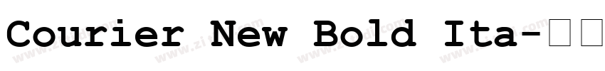 Courier New Bold Ita字体转换